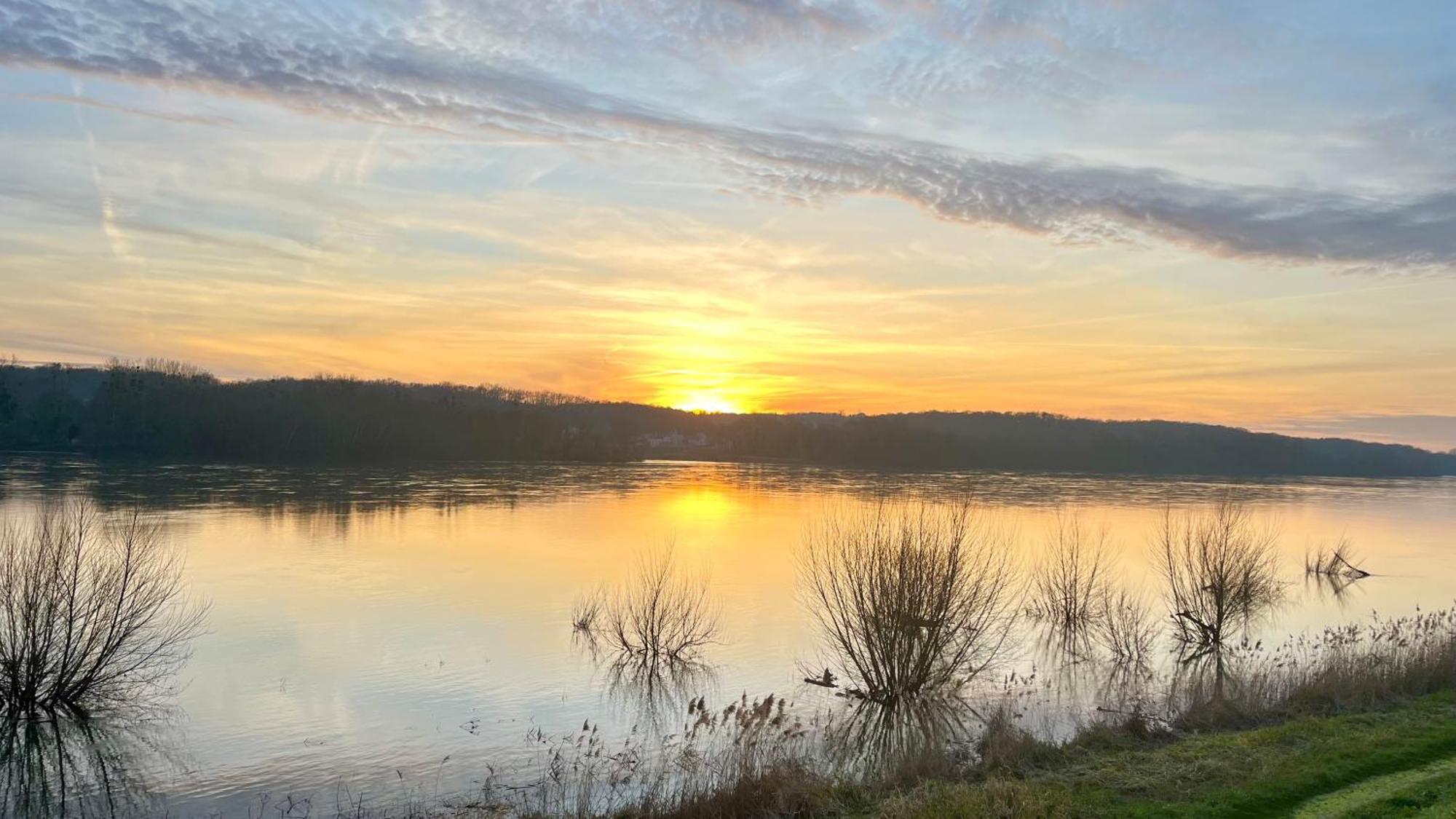 Un Mirage Tropical En Bord De Loire, Love Et Detente Saint-Clément-des-Levées Dış mekan fotoğraf